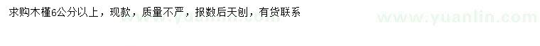 求購(gòu)6公分以上木槿