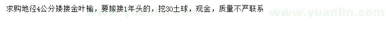 求購(gòu)地徑4公分金葉榆