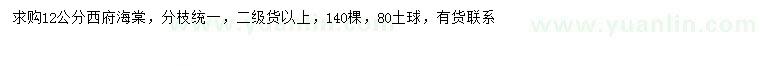 求購12公分西府海棠