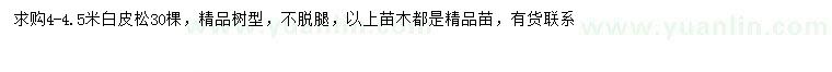 求購4-4.5米白皮松