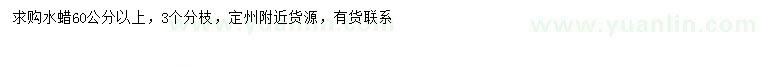 求購(gòu)60公分以上水蠟