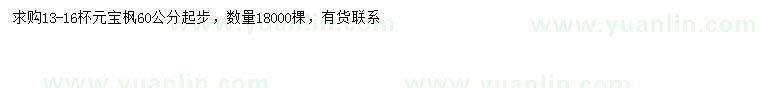 求購60公分以上元寶楓