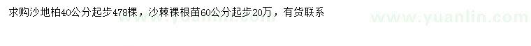 求購(gòu)40公分以上沙地柏、60公分以上沙棘