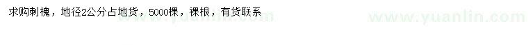 求購地徑2公分刺槐