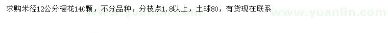 求購米徑12公分櫻花