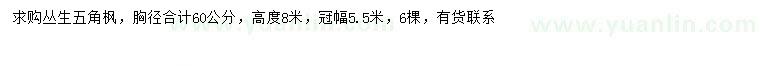 求購冠幅5.5米叢生五角楓