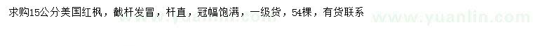 求購15公分美國紅楓