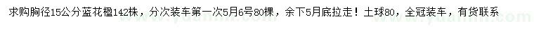 求購胸徑15公分藍花楹