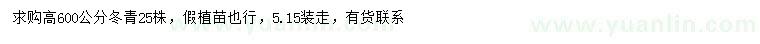 求購高600公分冬青