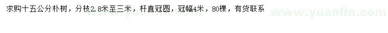 求購15公分樸樹