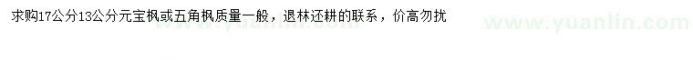 求購(gòu)13、17公分元寶楓、五角楓