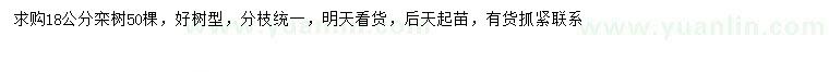 求購18公分欒樹