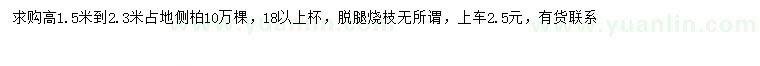 求購高1.5-2.3米側(cè)柏