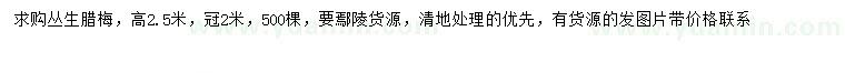 求購(gòu)冠幅2米叢生臘梅