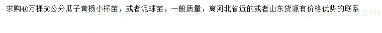 求購50公分瓜子黃楊
