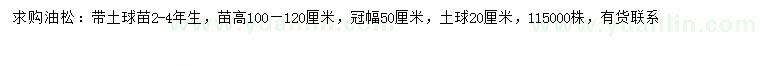 求購(gòu)高1-1.2米油松