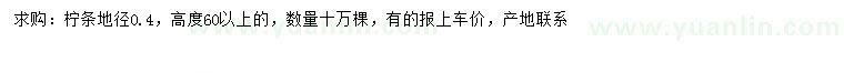 求購高60公分以上檸條