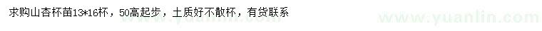 求購高50公分以上山杏
