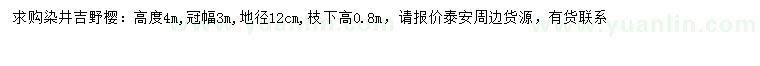 求購地徑12公分染井吉野櫻