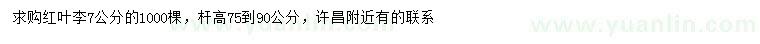 求購7公分紅葉李