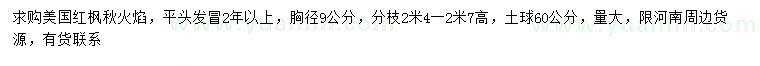 求購胸徑9公分美國紅楓秋火焰