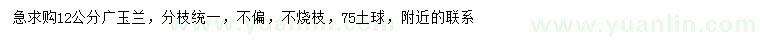 求購12公分廣玉蘭