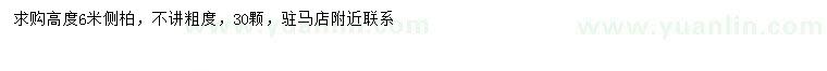 求購高6米側柏