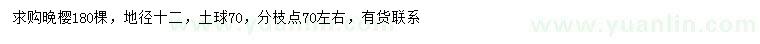 求購地徑12公分晚櫻