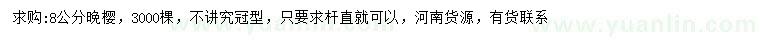 求購8公分晚櫻