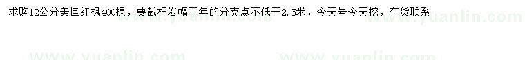 求購12公分美國紅楓