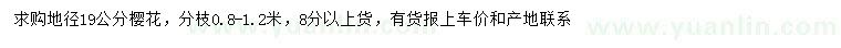 求購地徑19公分櫻花