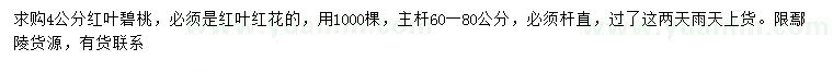 求購4公分紅葉碧桃