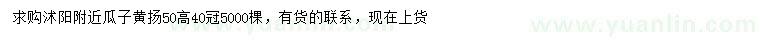 求購高50公分瓜子黃揚