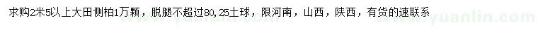 求購2.5米以上側柏