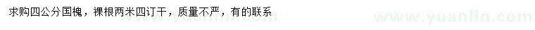 求購4公分國槐