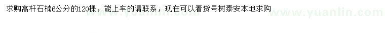 求購6公分高桿石楠