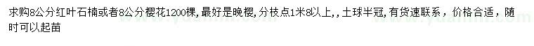 求購8公分紅葉石楠、櫻花