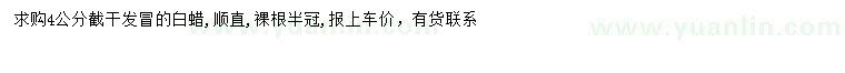 求購4公分白蠟