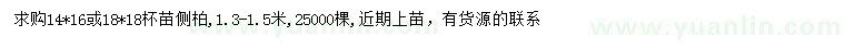 求購1.3-1.5米側柏