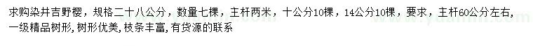 求購10、14、28公分染井吉野櫻