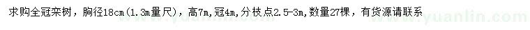 求購1.3米量18公分欒樹(shù)