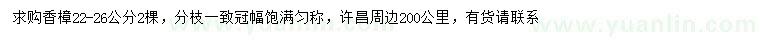 求購22-26公分香樟