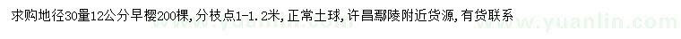 求購30量12公分早櫻