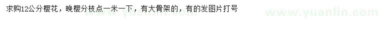 求購12公分櫻花