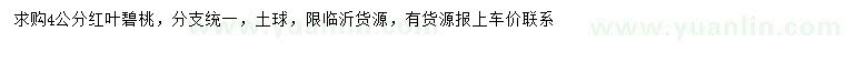求購4公分紅葉碧桃