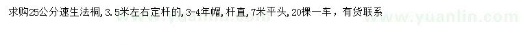 求購25公分速生法桐