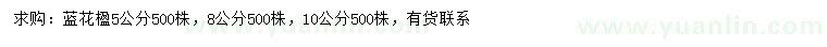 求購(gòu)5、8、10公分藍(lán)花楹
