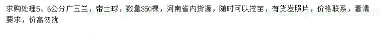 求購5、6公分廣玉蘭