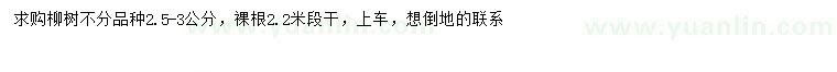 求購2.5-3公分柳樹