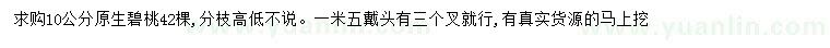 求購10公分碧桃